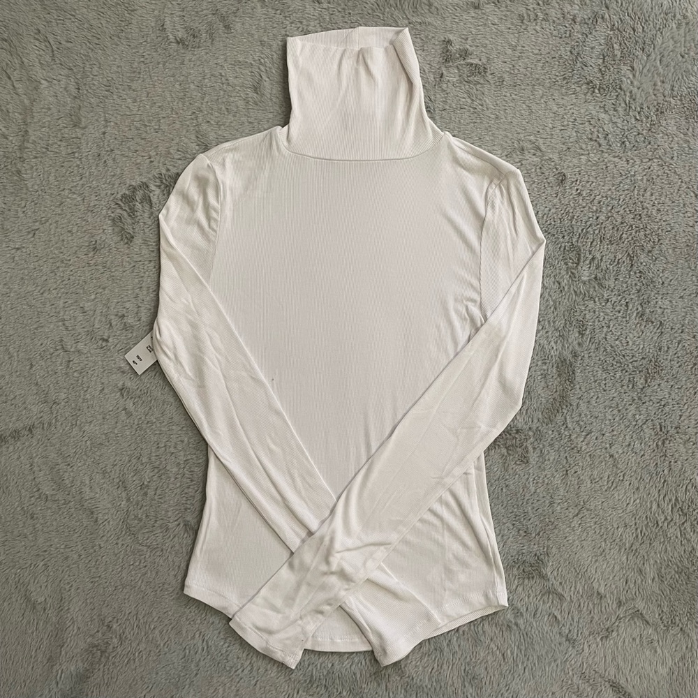 Aritzia Sunday Best Freshman Turtleneck